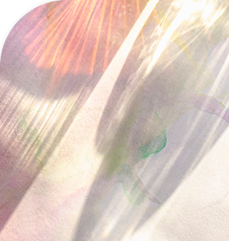 Petit Aesthetics