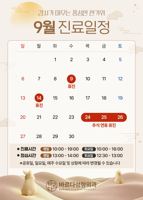 진료일정